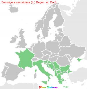 Securigera securidaca (L.) Degen & Dorfl.
